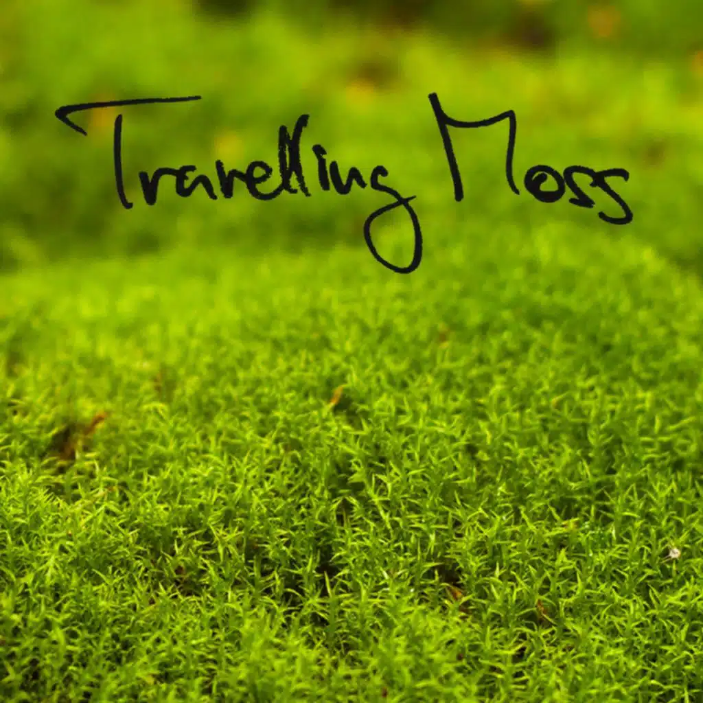 Travelling Moss