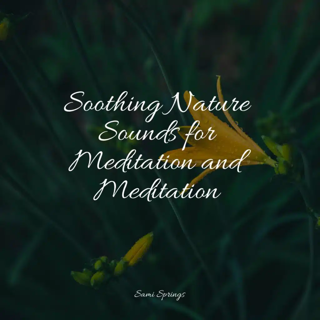 Soothing Nature Sounds for Meditation and Meditation