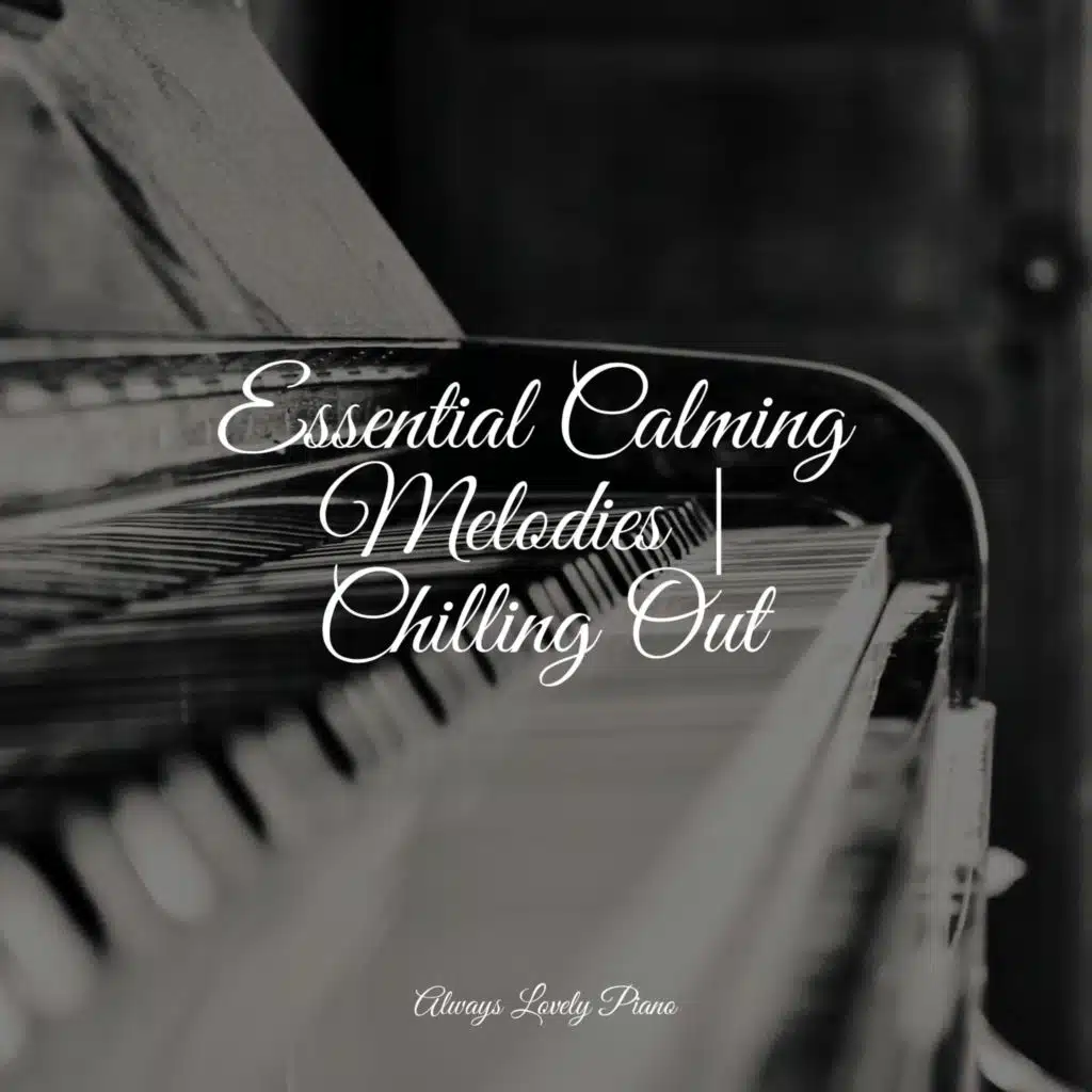 50 Meditation Collection - 50 Soothing Piano Tracks to Relax to
