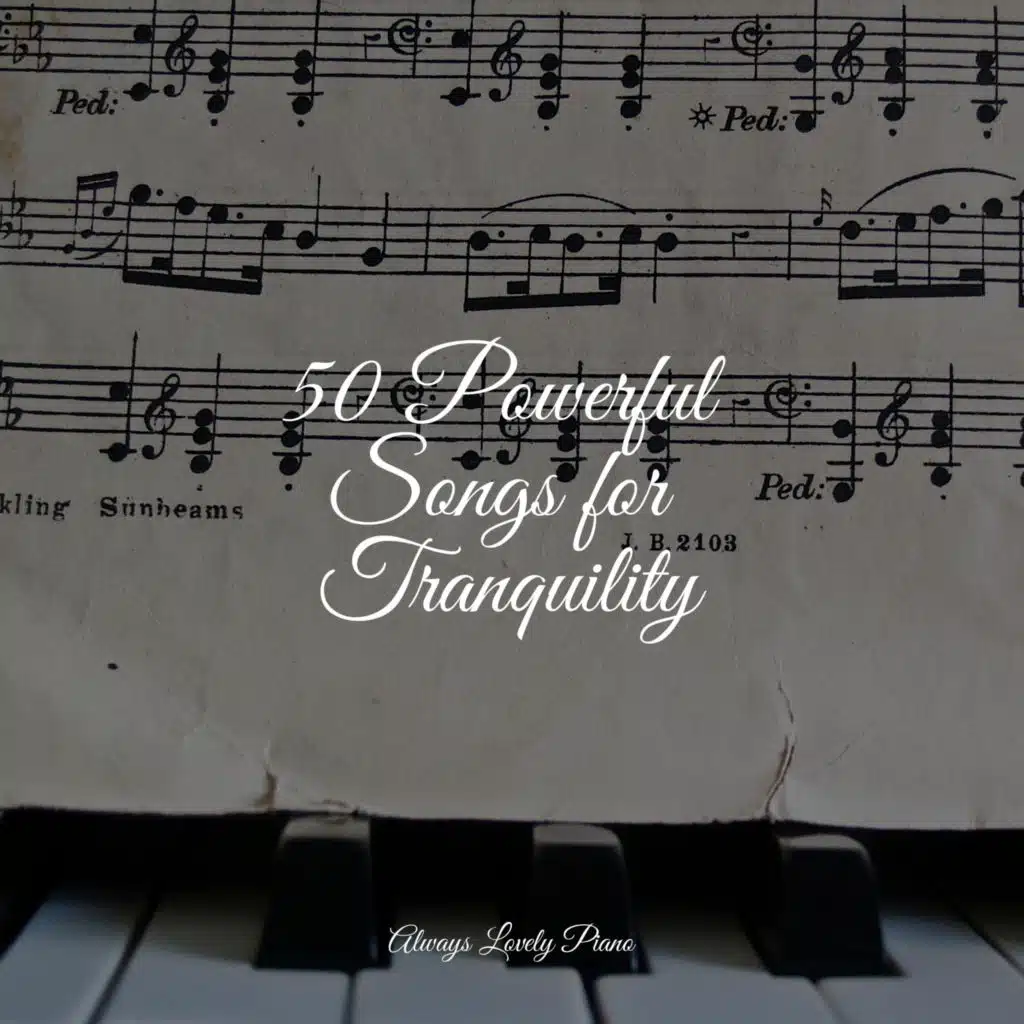 Deep Collection | Focused on Studying