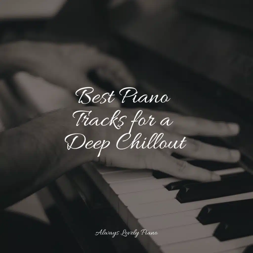 #50 Calming Compilation