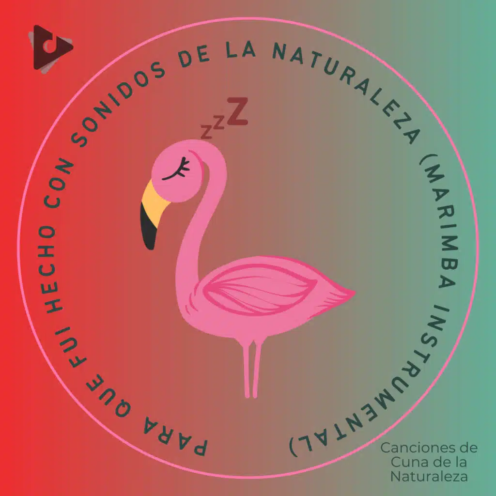 Canciones Infantiles (Popular Songs) & Canciones de Cuna de la Naturaleza