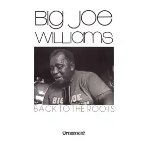 Big Joe Williams (Sonny Boy Williamson Harmonica)