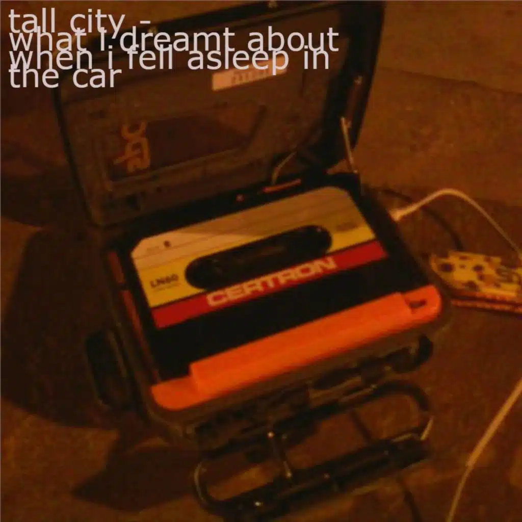 what i dreamt about when i fell asleep in the car