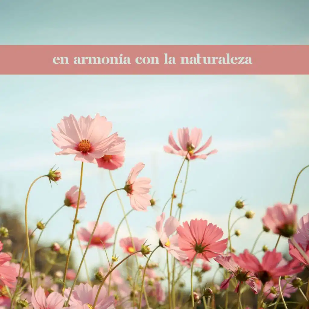 En Armonía con la Naturaleza: Sonidos Naturales para Guiar en la Meditación