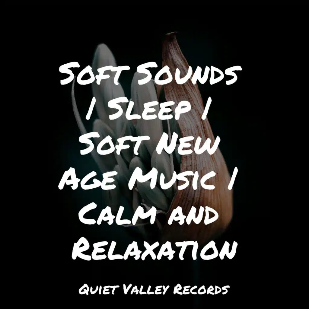 Soft Sounds | Sleep | Soft New Age Music | Calm and Relaxation
