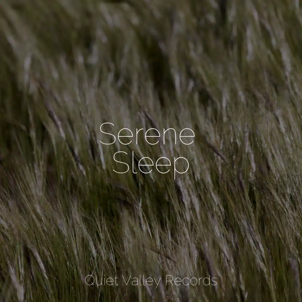 Serene Sleep