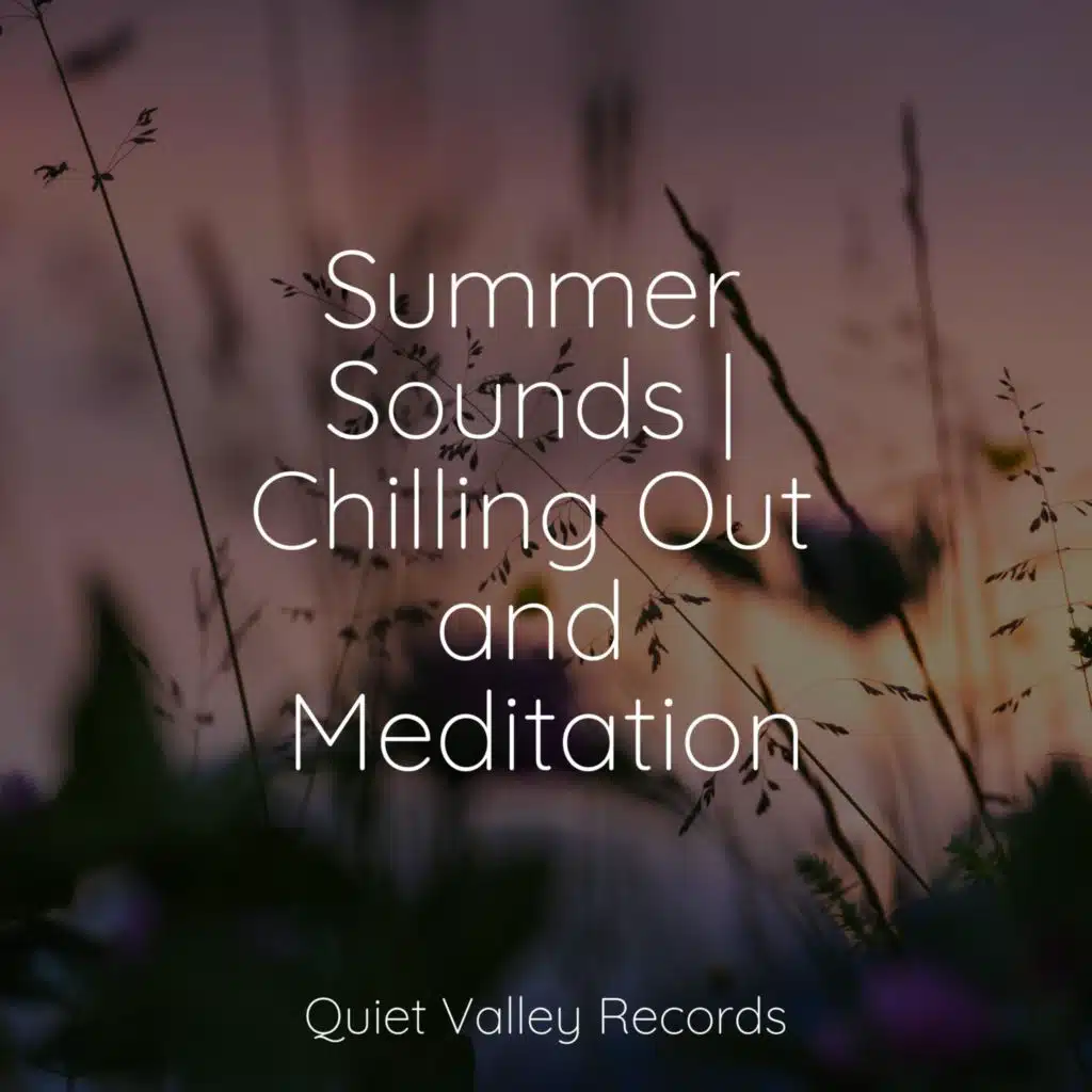 Summer Sounds | Chilling Out and Meditation