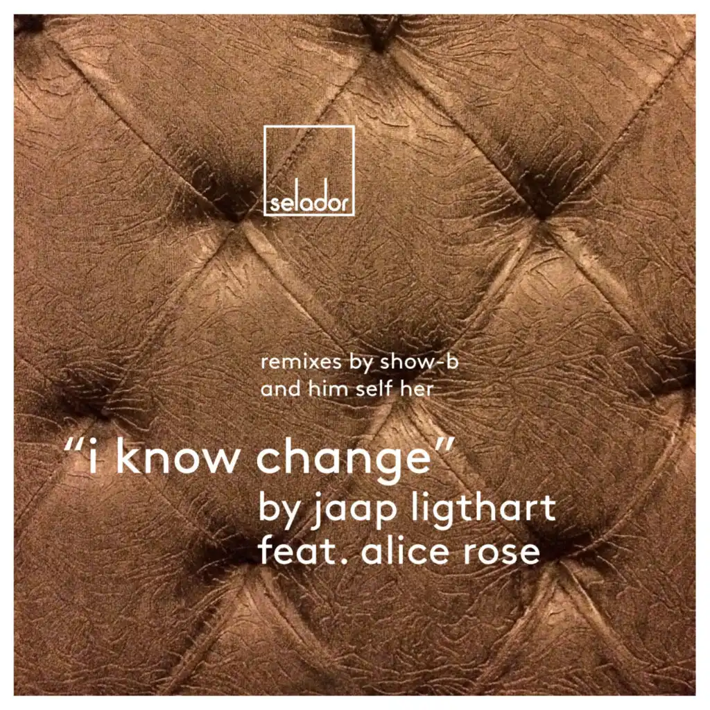 I Know Change (SHOW-B Remix) [feat. Alice Rose]