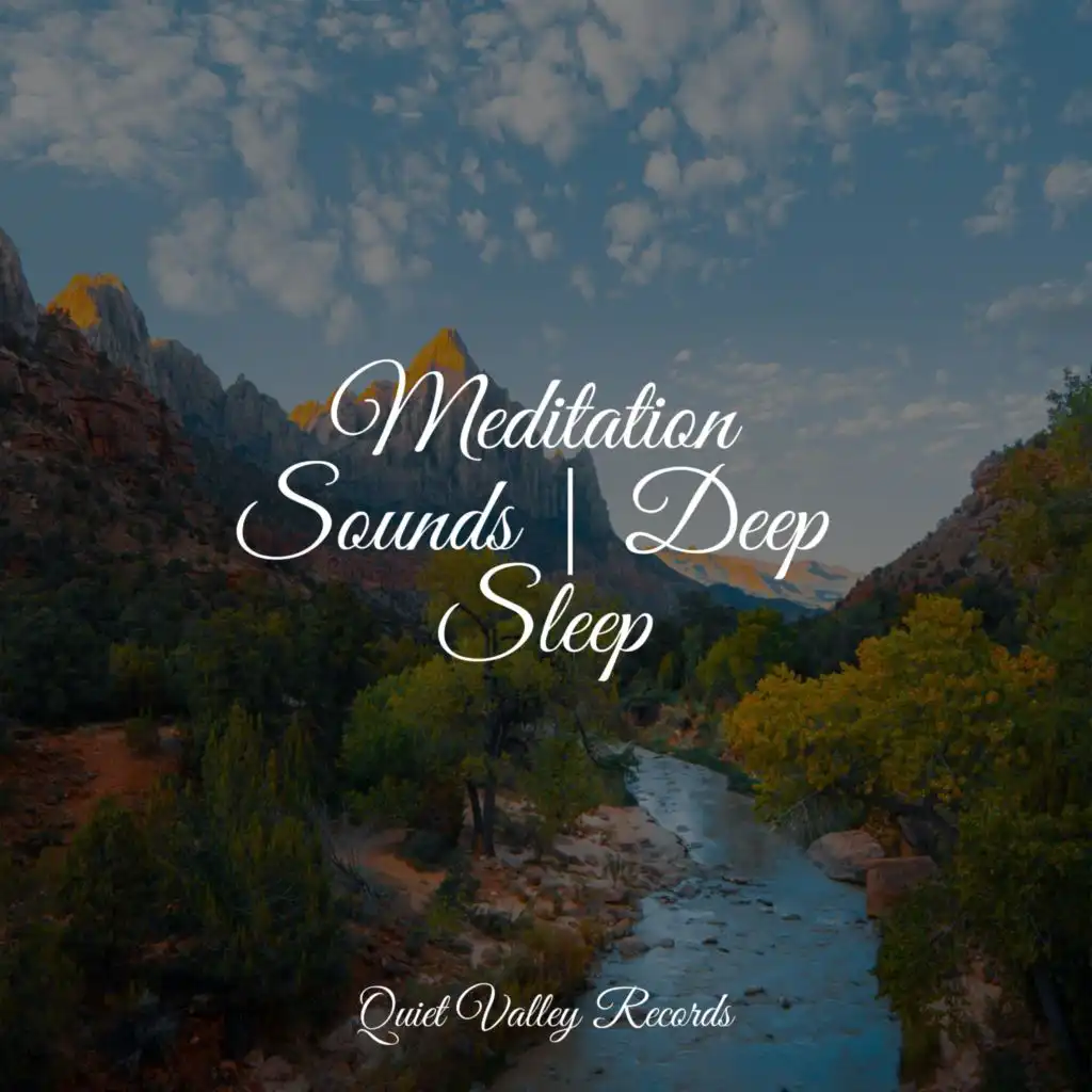 Meditation Sounds | Deep Sleep