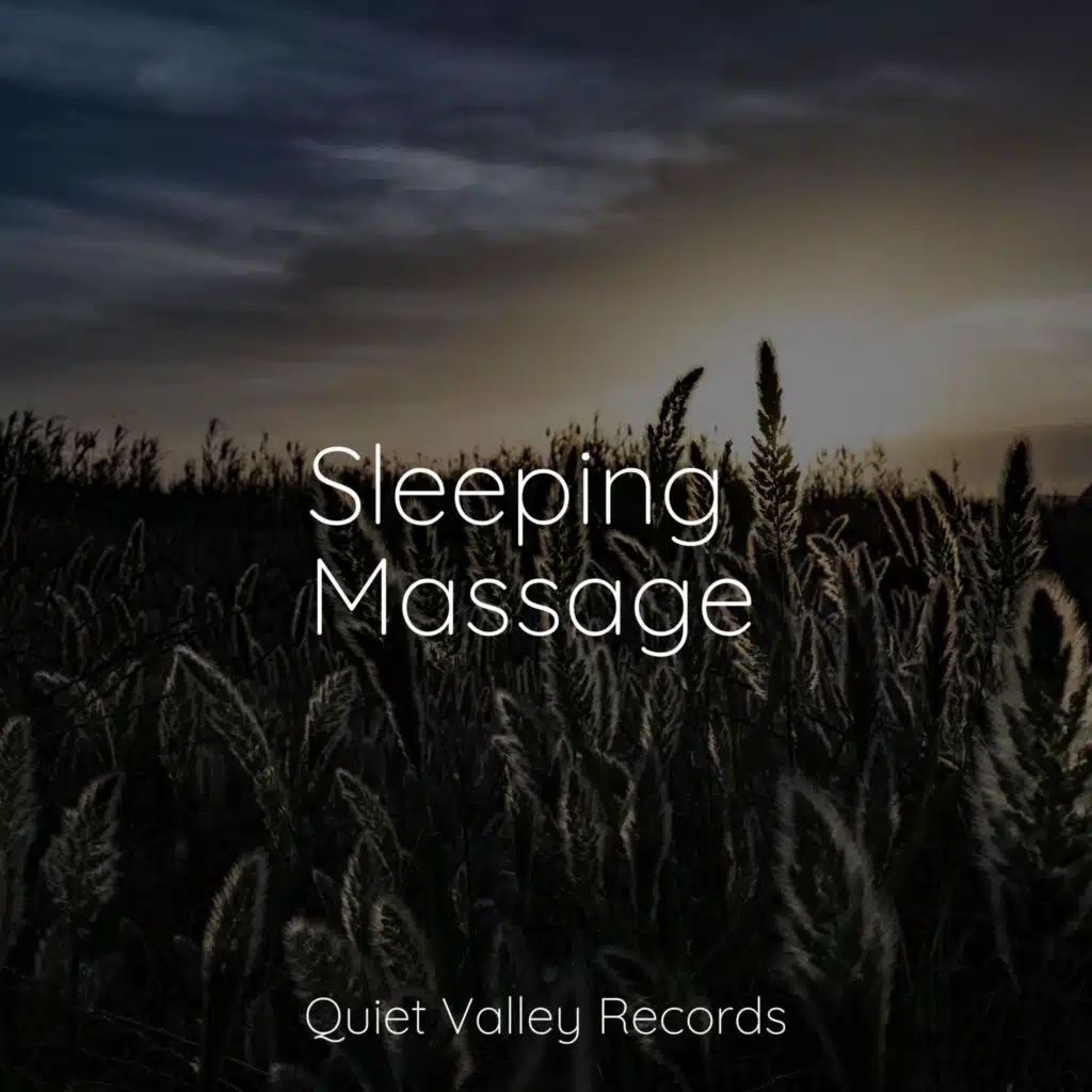 Sleeping Massage