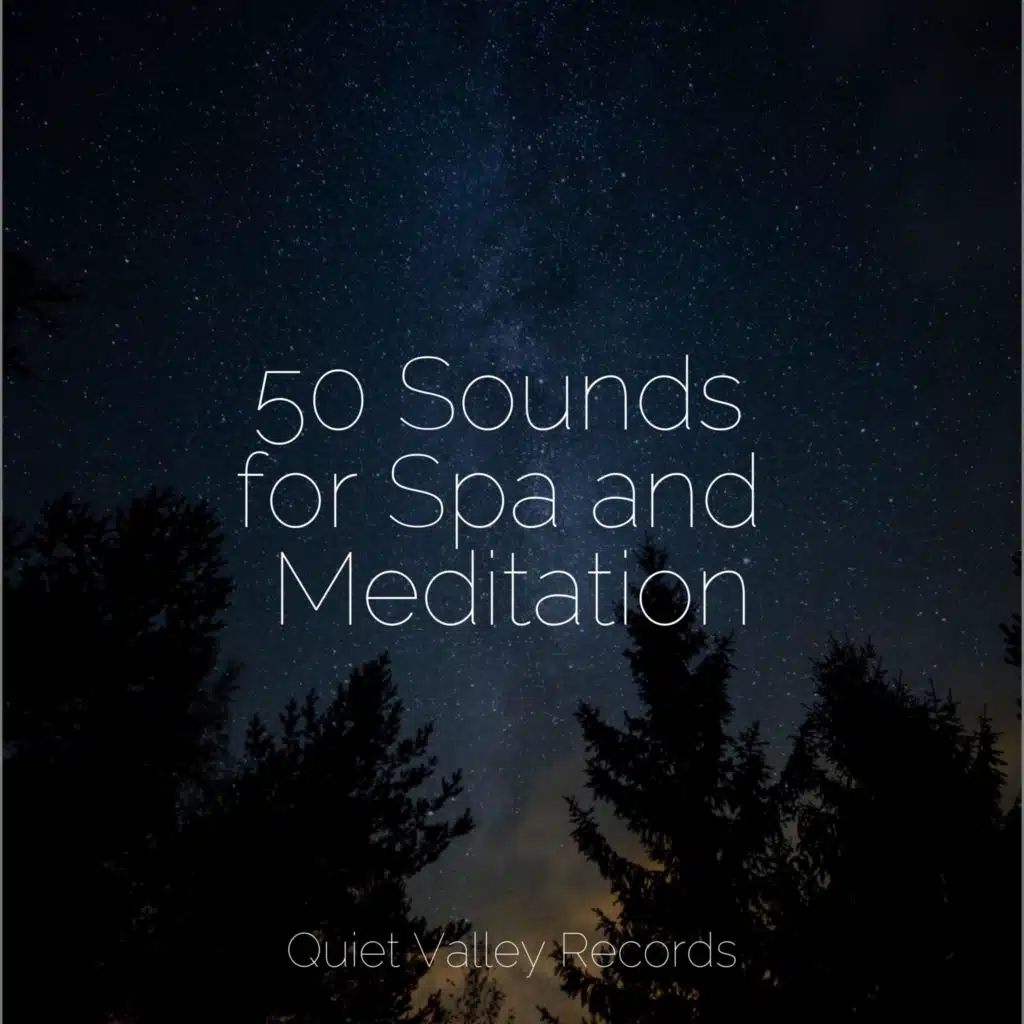 50 Sounds for Spa and Meditation