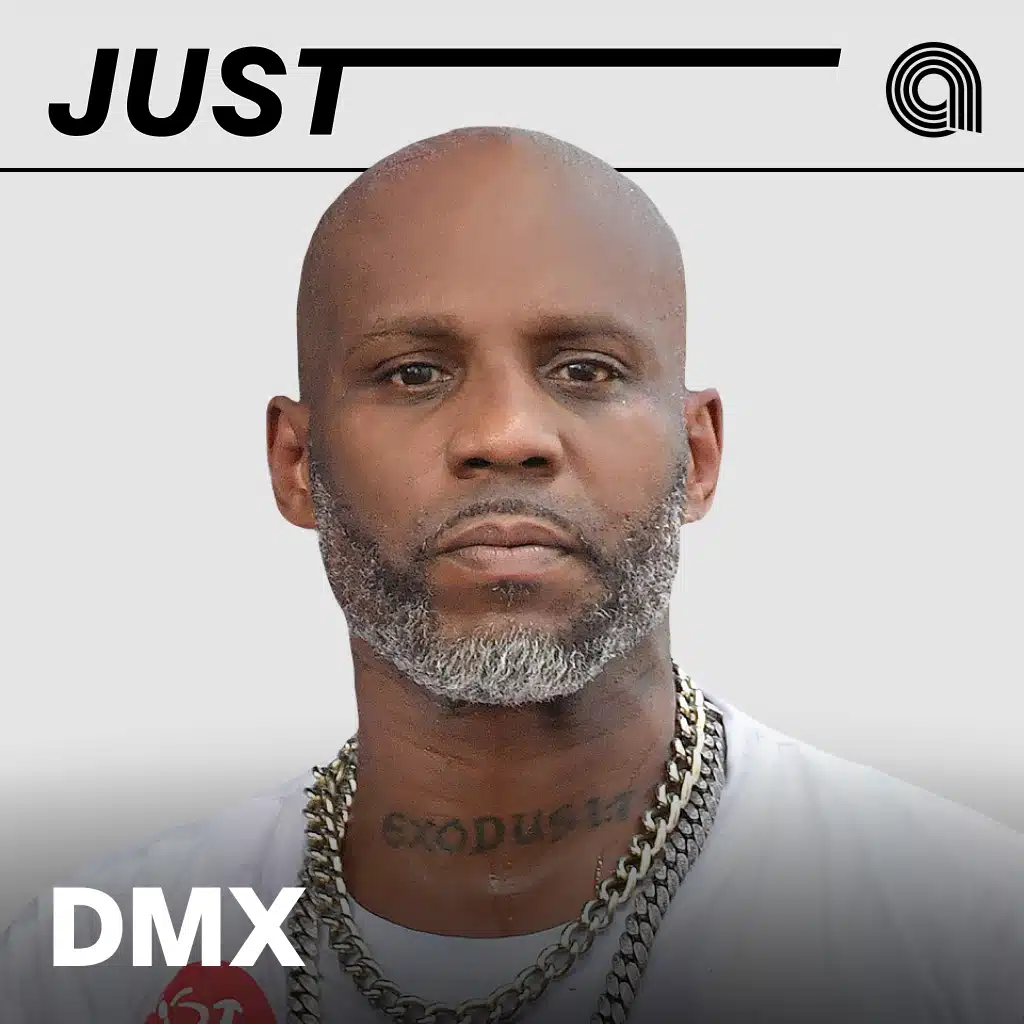 Just DMX