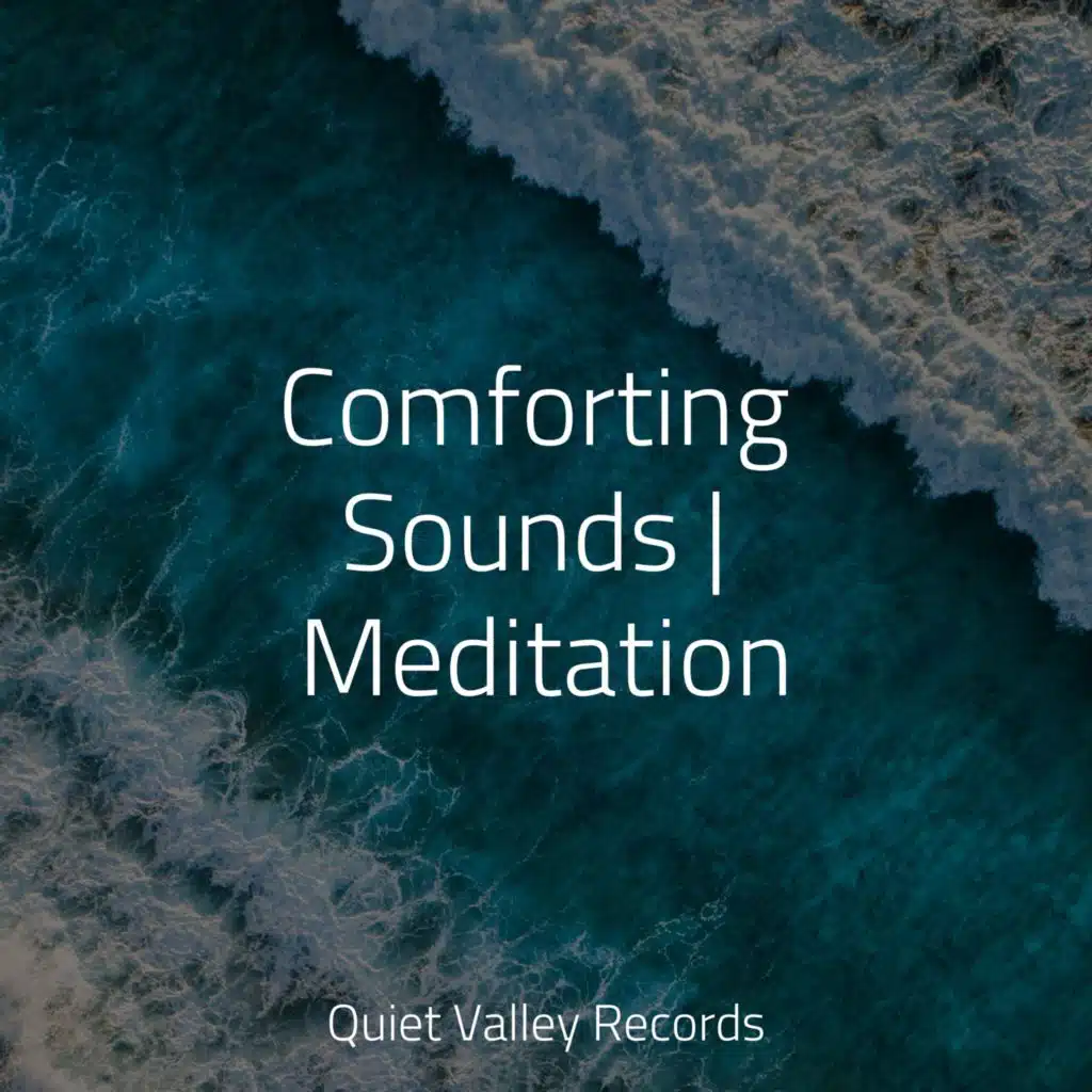 Comforting Sounds | Meditation