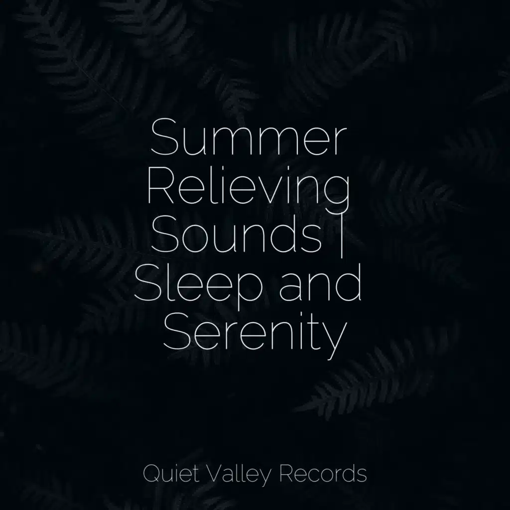 Summer Relieving Sounds | Sleep and Serenity
