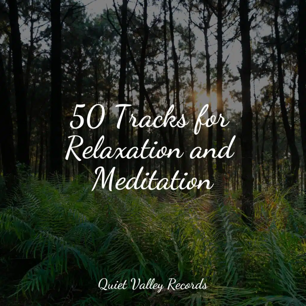 50 Tracks for Relaxation and Meditation