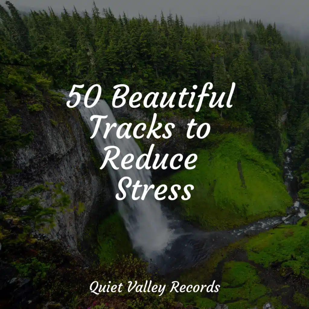 50 Beautiful Tracks to Reduce Stress