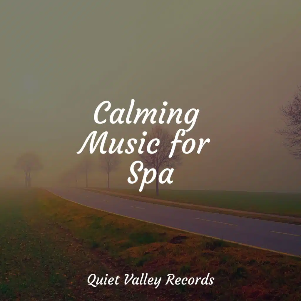 Meditative State of Mind