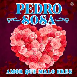 Pedro Sosa