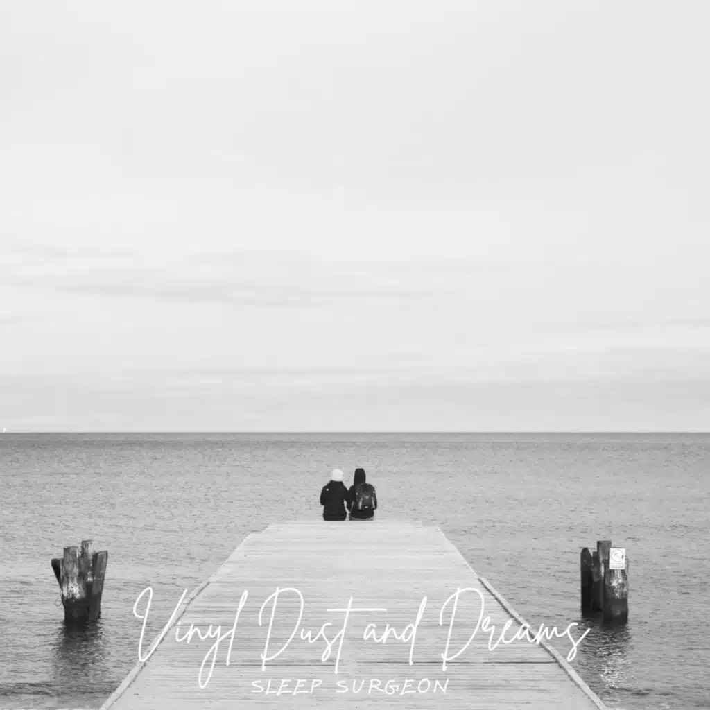 Vinyl Dust and Dreams