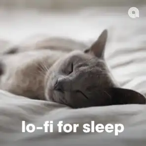 Lo-fi For Sleep