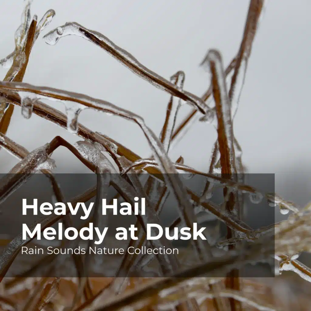 Rain Sounds Nature Collection, ASMR Rain Sounds & Sleepy Rain