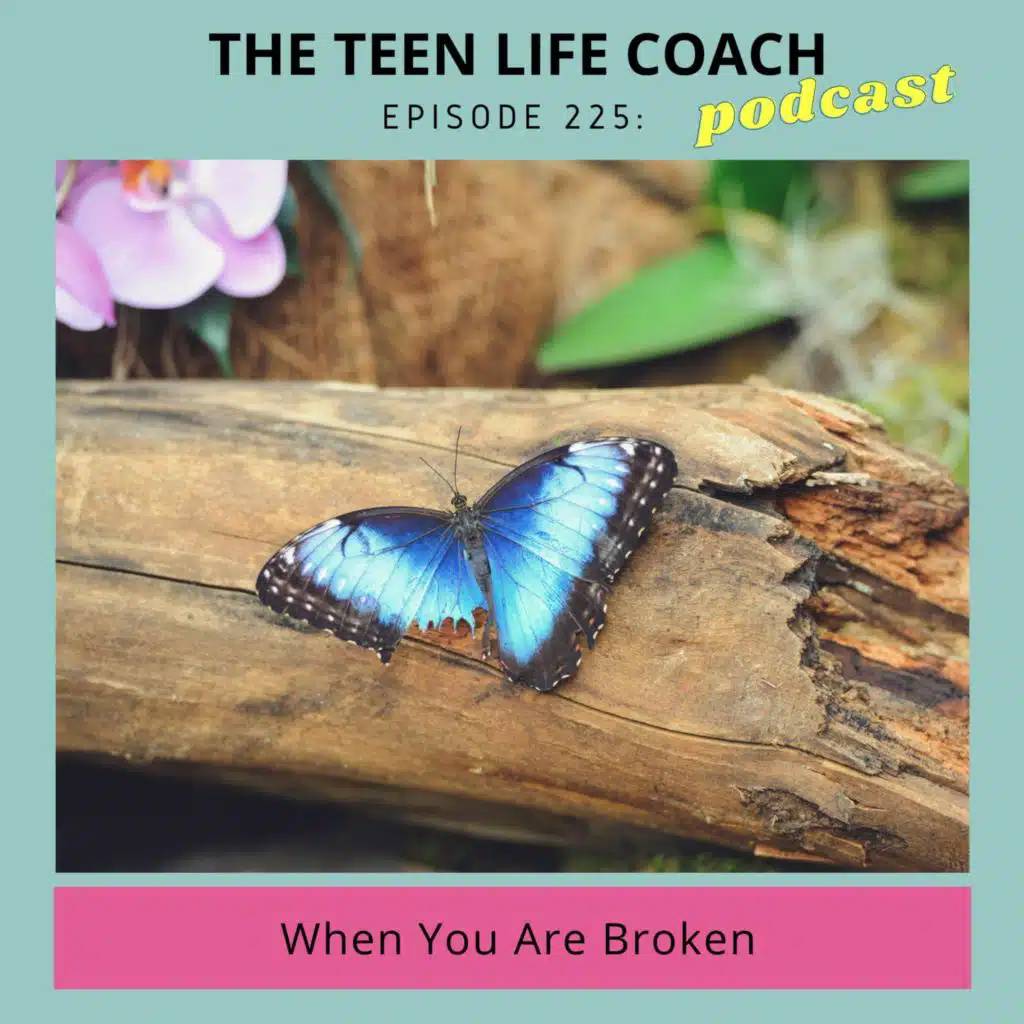 225: When You Are Broken