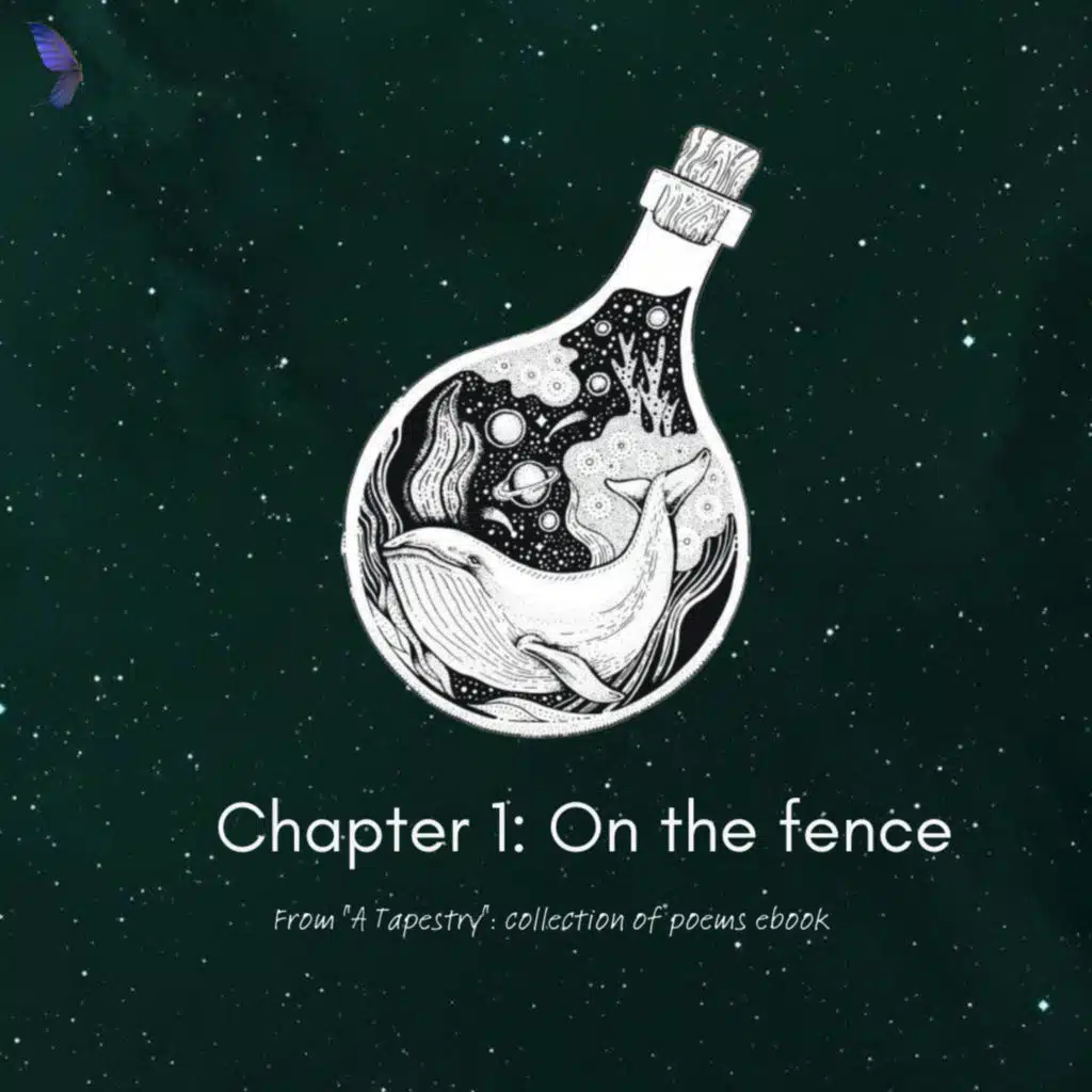 Chapter 1: On the fence from " A Tapestry" E-book.