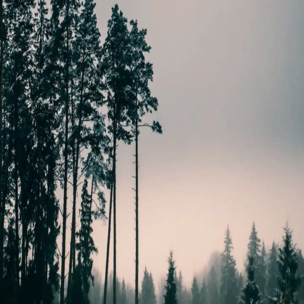 Am I Too Hard on Myself?