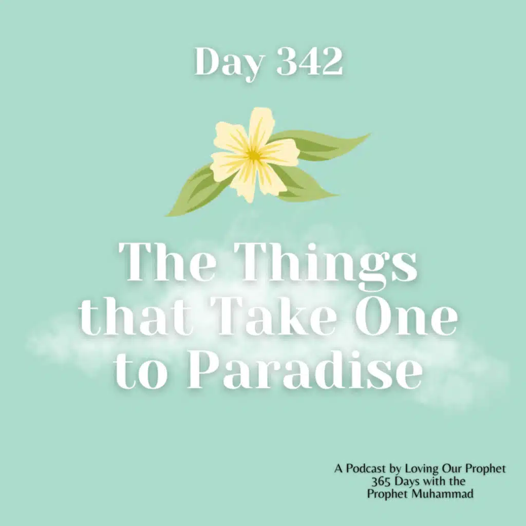 Day 342 - The Things that take one to Paradise