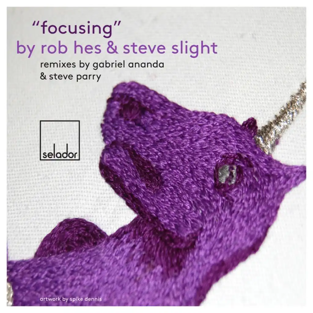 Focusing (Steve Parry Remix)