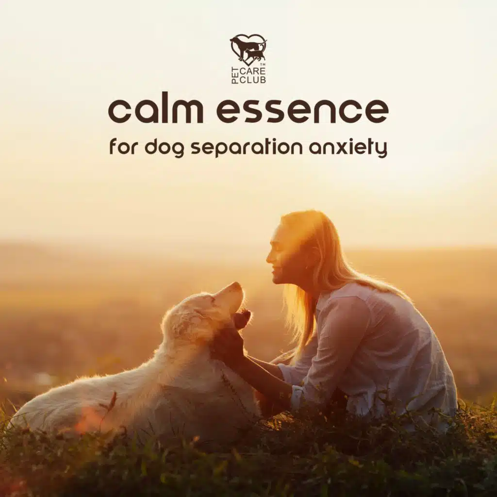 Pet Care Club Fun Calming Play on Anghami