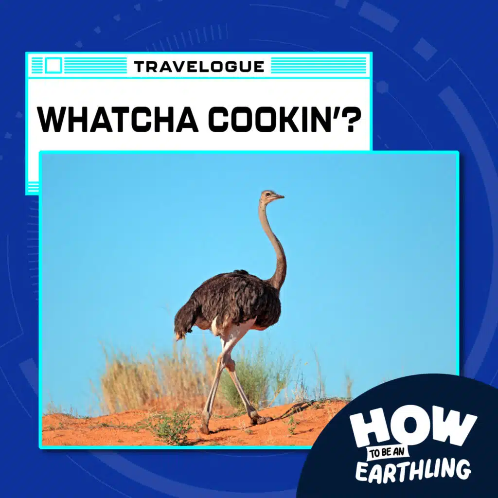 Travelpod: Whatcha Cookin' (8/3/23)