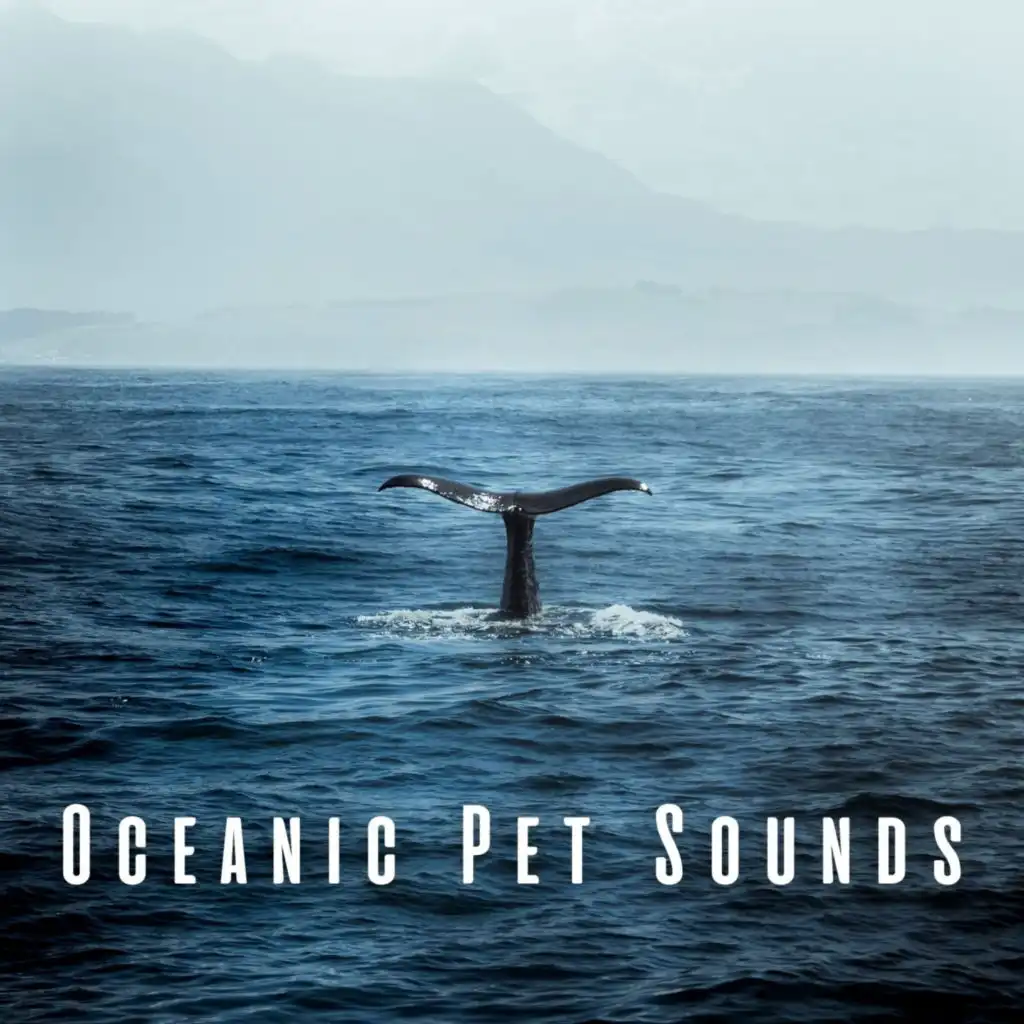 Oceanic Pet Sounds: Binaural Harmony with Theta Waves