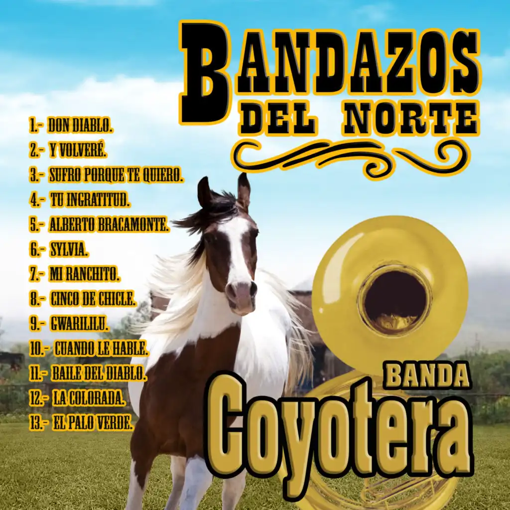 Bandazos Del Norte