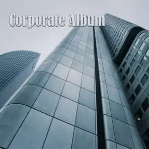 Corporate Business Financier