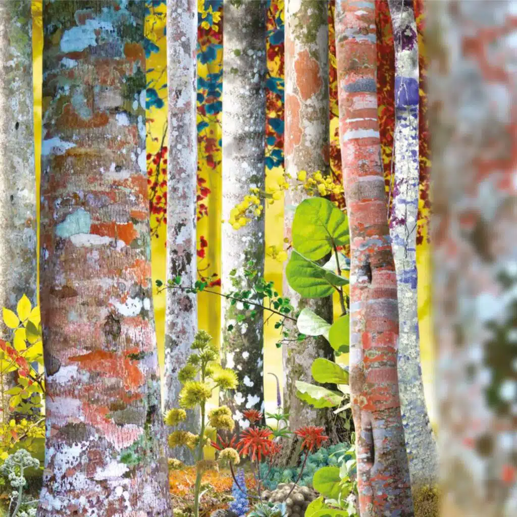 RYUICHI SAKAMOTO & David Sylvian