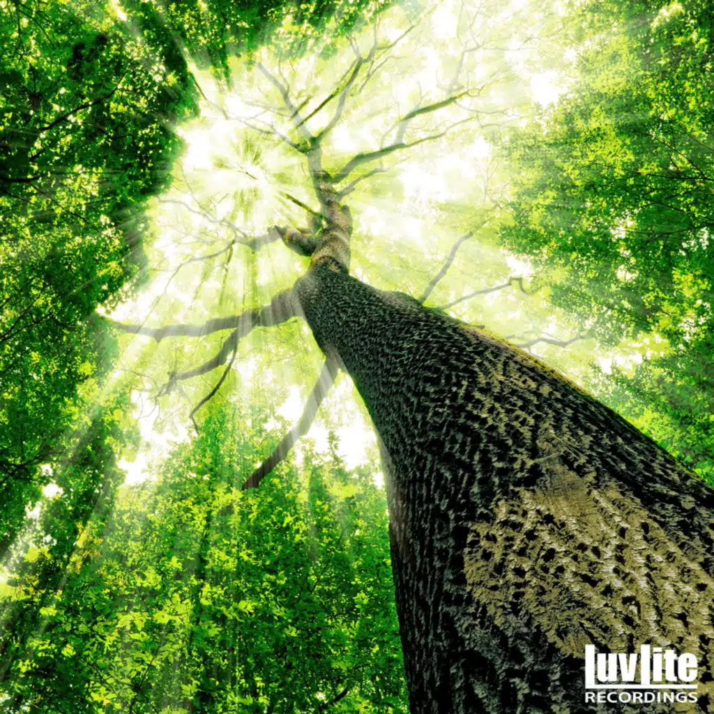 A Kind of Lite (Weisz & Schrenk Remix) [feat. Aminata Seydi]