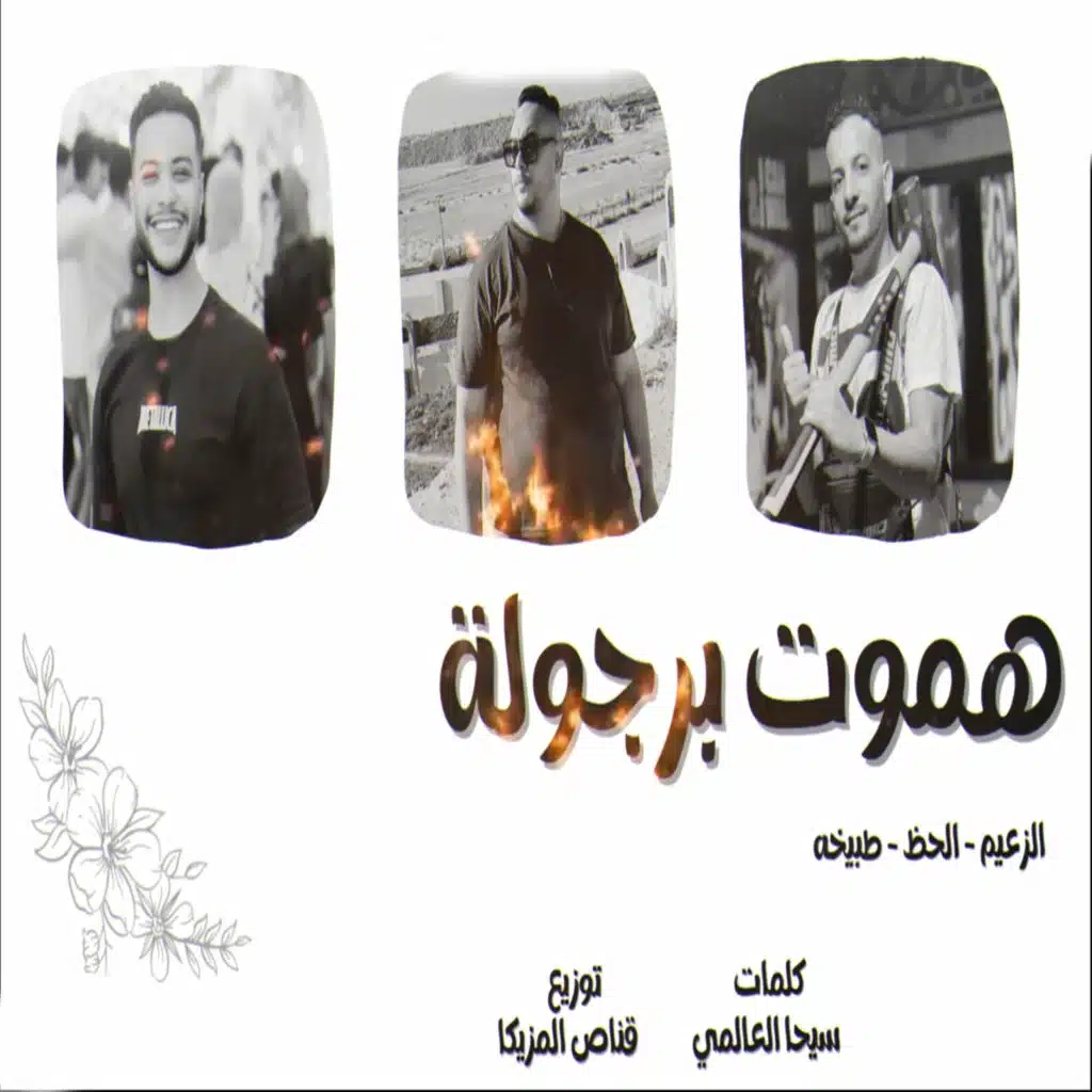 هموت برجولة