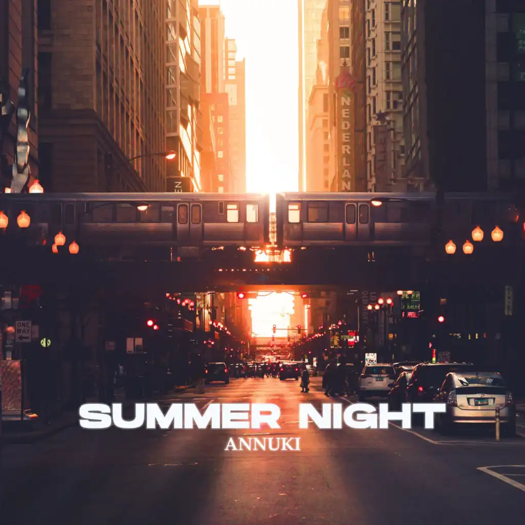 Summer night (Extended Mix)