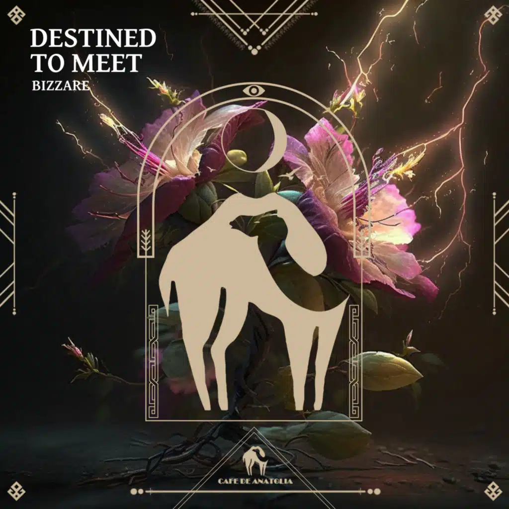 Bizzare & Cafe De Anatolia