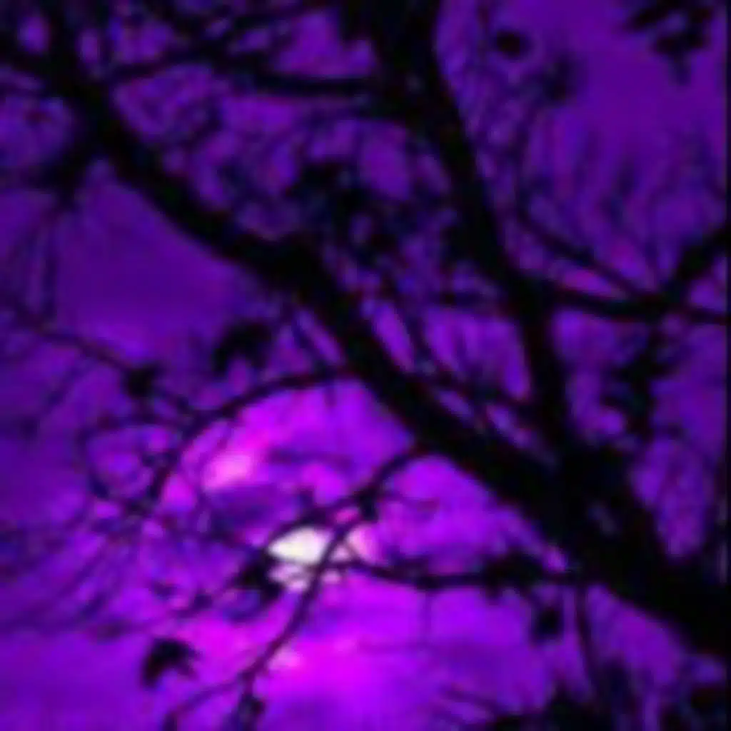 LOOK DON'T TOUCH (Sped up)