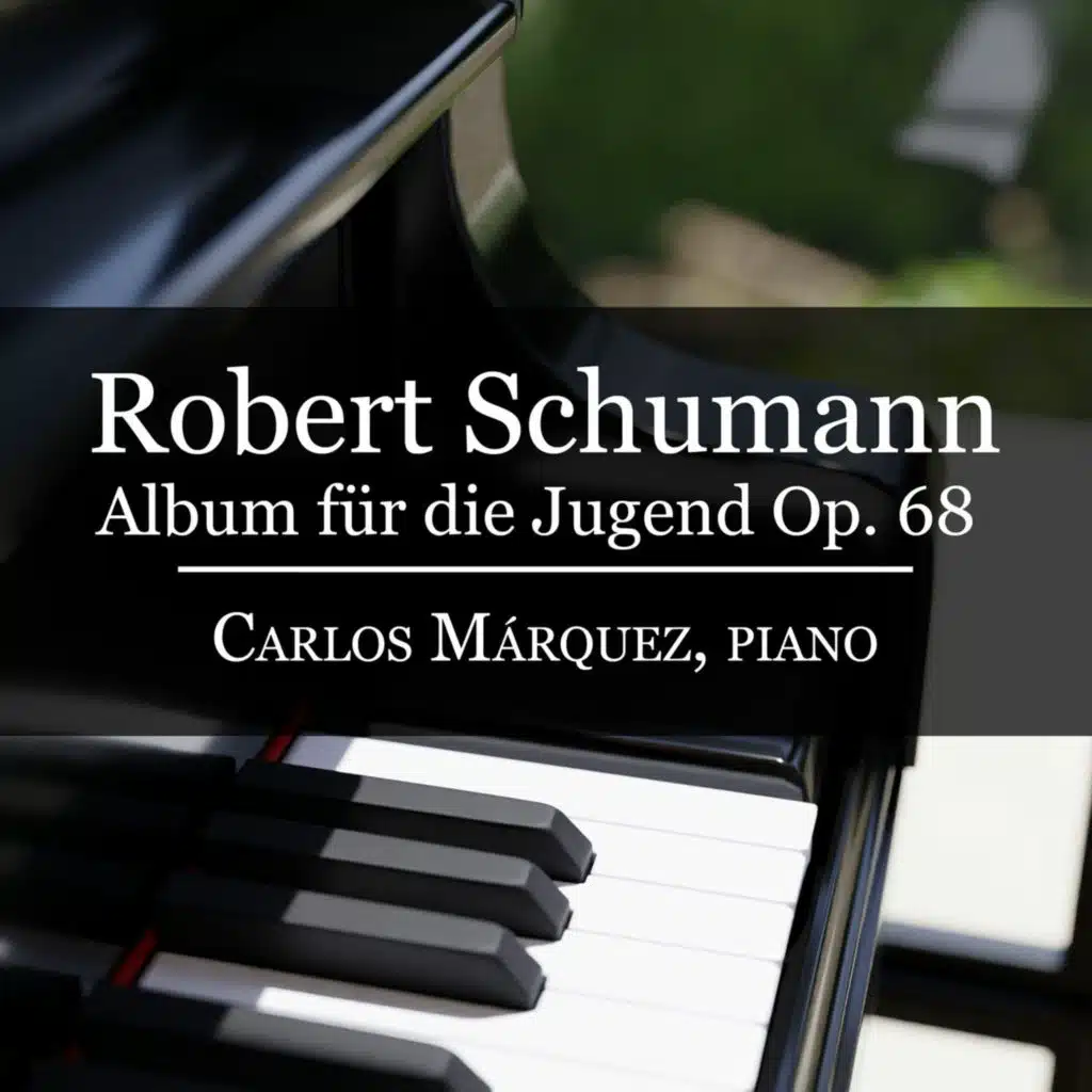 Robert Schumann: Album Für Die Jugend Op. 68 - 39. Winter Time II