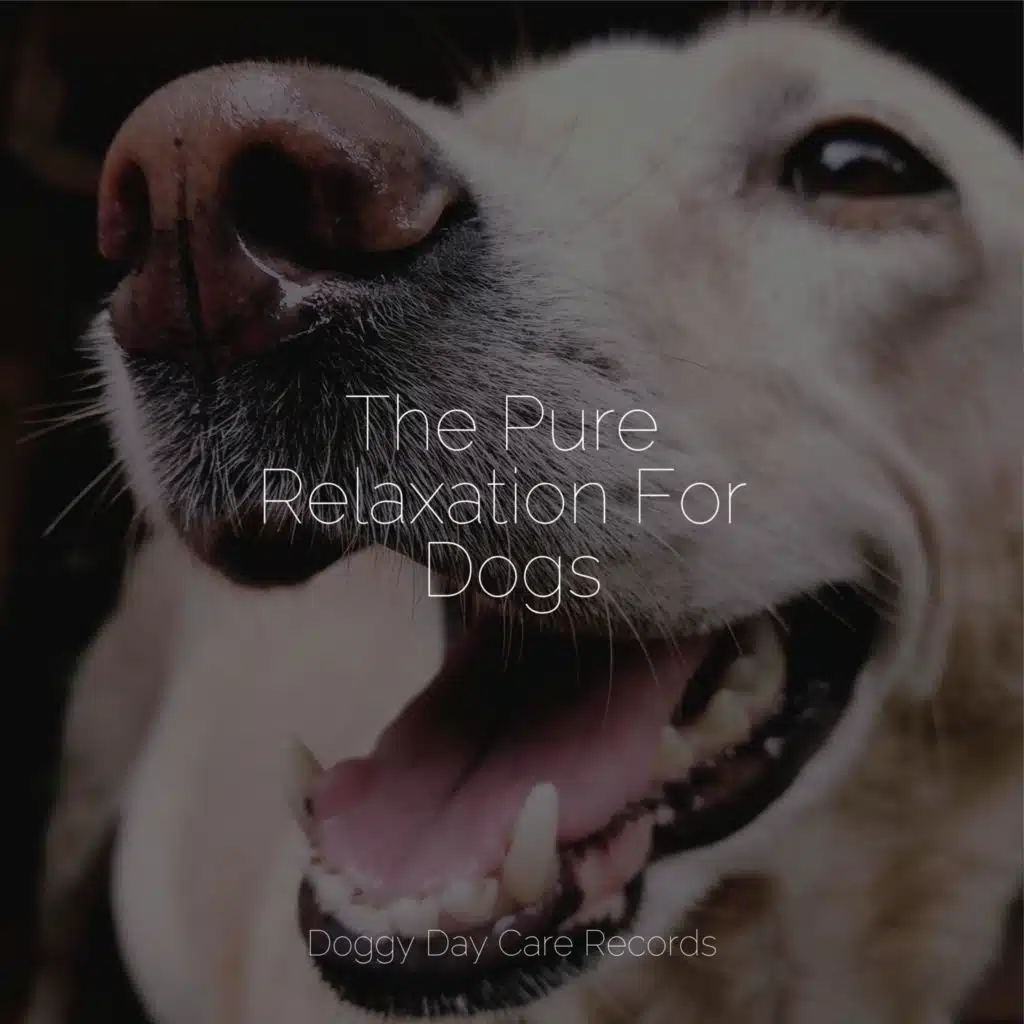 Music For Dogs, Sleeping Music For Dogs & Music for Calming Dogs