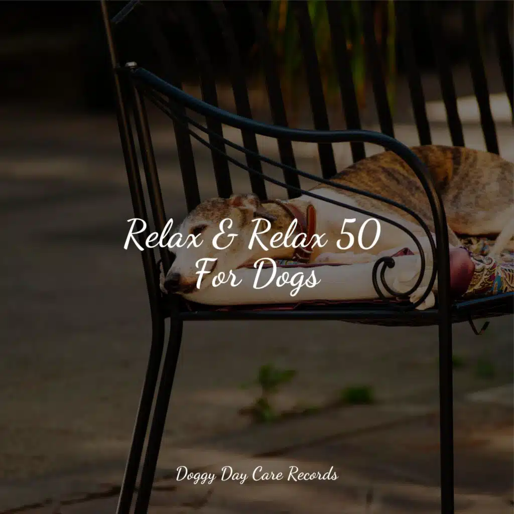 Calm Doggy, Relaxmydog & Relaxation Music For Dogs