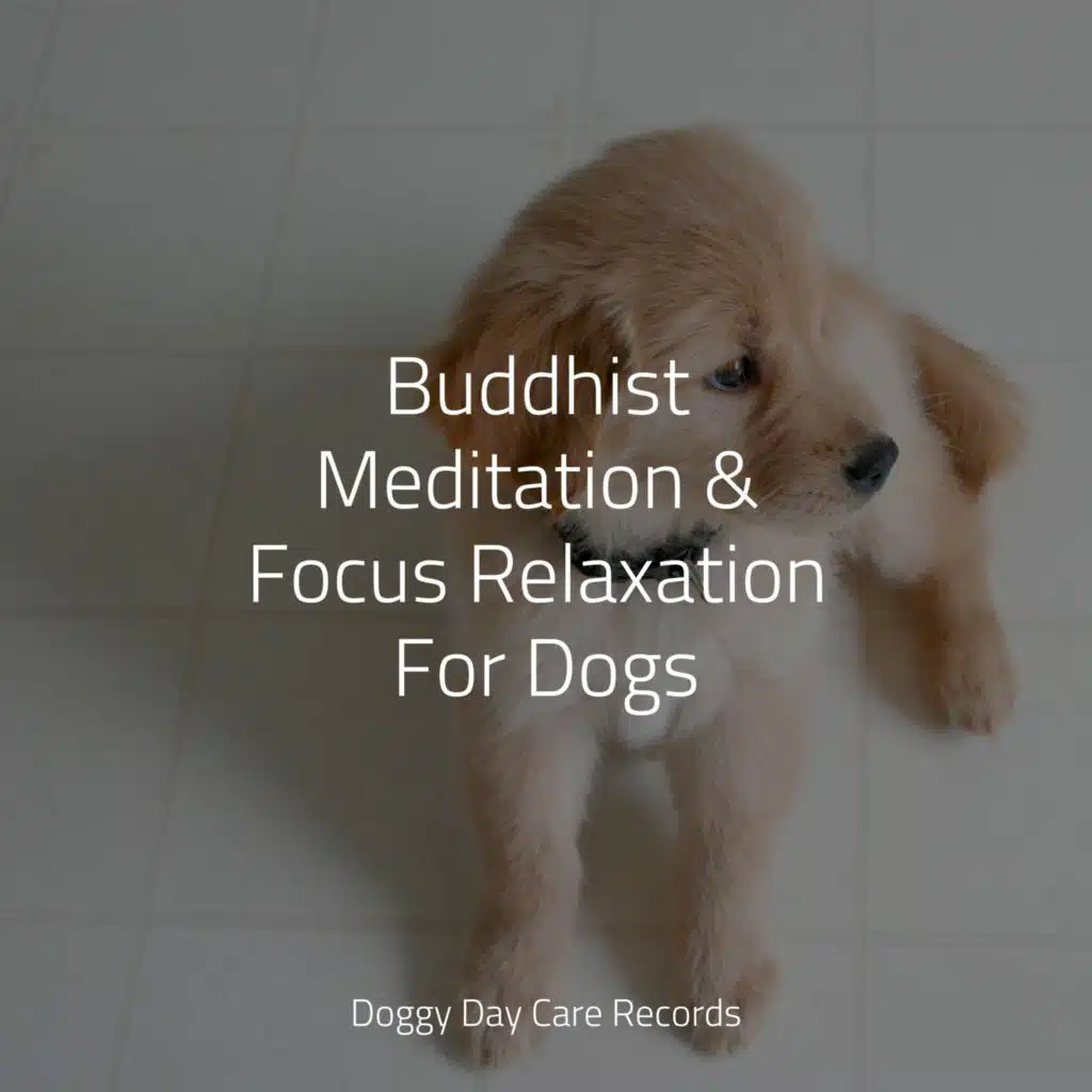 Relaxmydog, Relaxation Music For Dogs & Official Pet Care Collection