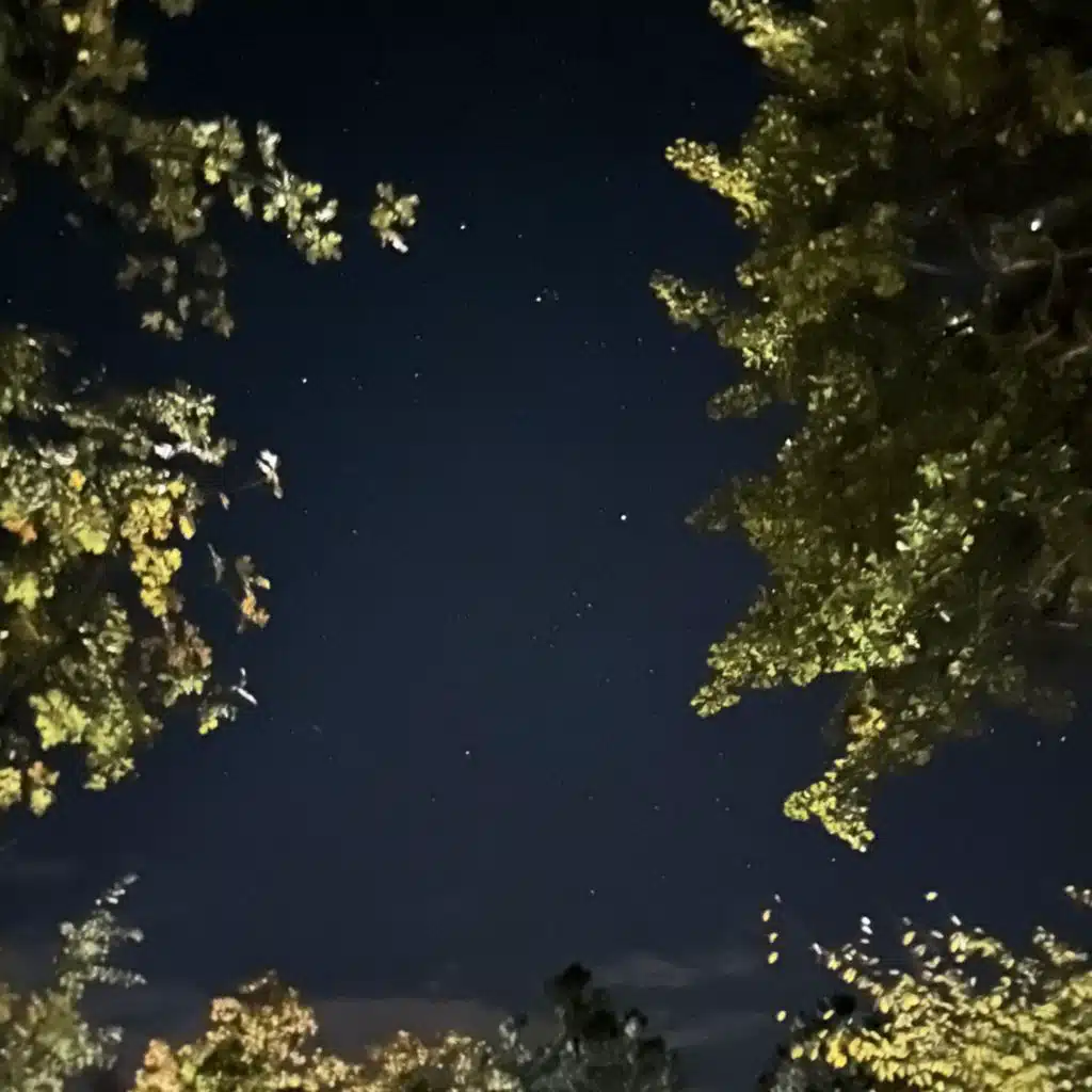 $weat$tains & Satari