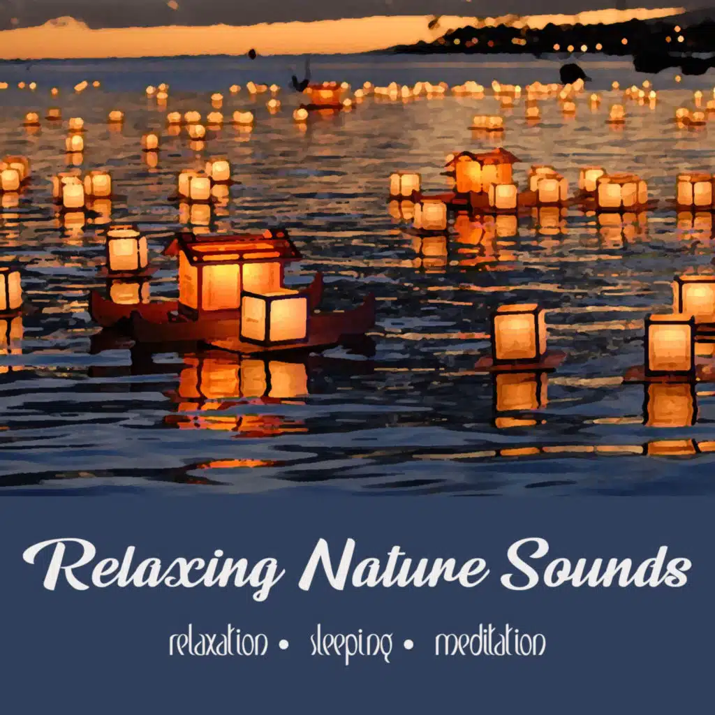 Nam Myoho Renge Kyo (Feat Lady Zen) | 15 Min Reflection