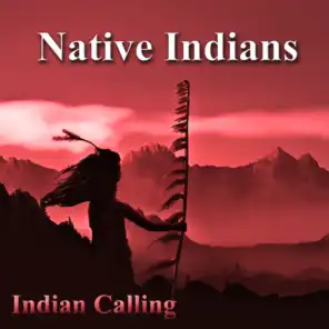 Hinayana Vision (Native American Music)