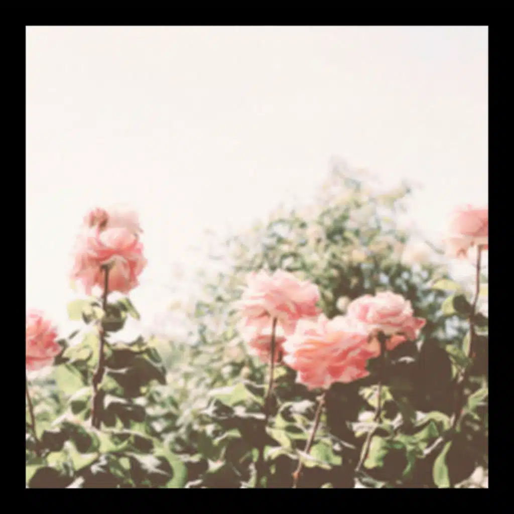 lullabies (longlost flip)